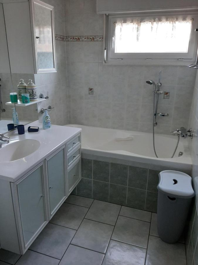Gite Chez Lucie Guntzviller Dış mekan fotoğraf