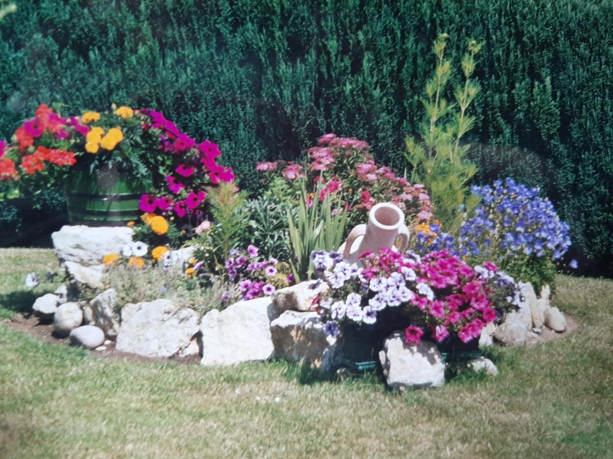 Gite Chez Lucie Guntzviller Dış mekan fotoğraf